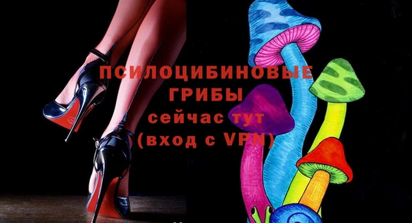 соль ск Алзамай