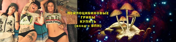 гашик Абдулино