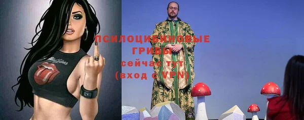 соль ск Алзамай