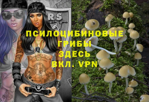 соль ск Алзамай