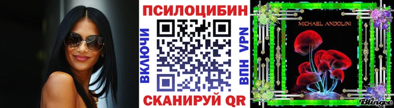 KRAKEN tor  наркота  Минусинск  Галлюциногенные грибы Psilocybine cubensis 