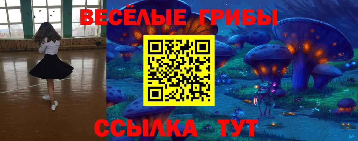 Псилоцибиновые грибы мухоморы  Вход с VPN  Минусинск 